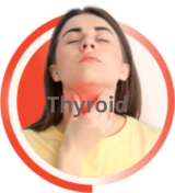 Thyroid